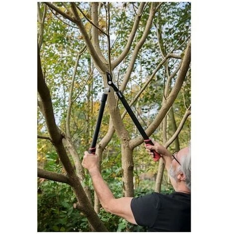 KREATOR Coupe Branche Acier Bypass 5 KREATOR Coupe Branche Acier Bypass – Image 3