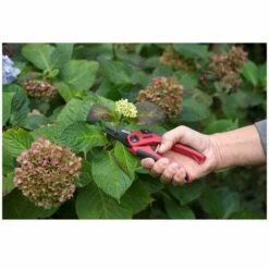 KREATOR Secateur Acier Carbone Etroit -KREATOR Soldes 2022 53484916 3